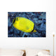 Indonesia, The Latticed Butterflyfish Wall Mural