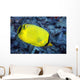 Indonesia, The Latticed Butterflyfish Wall Mural