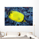 Indonesia, The Latticed Butterflyfish Wall Mural