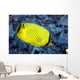 Indonesia, The Latticed Butterflyfish Wall Mural