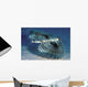 Hawaii, Flying Gurnards, Also Known As Helmet Gurnards Wall Mural
