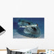 Hawaii, Flying Gurnards, Also Known As Helmet Gurnards Wall Mural