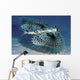 Hawaii, Flying Gurnards, Also Known As Helmet Gurnards Wall Mural