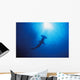 Silhouette Of Scalloped Hammerhead With School Of Fish Wall Mural