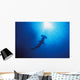 Silhouette Of Scalloped Hammerhead With School Of Fish Wall Mural