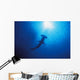 Silhouette Of Scalloped Hammerhead With School Of Fish Wall Mural