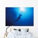 Silhouette Of Scalloped Hammerhead With School Of Fish Wall Mural