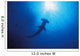 Silhouette Of Scalloped Hammerhead With School Of Fish Wall Mural