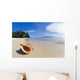 A Triton's Trumpet Shell On Sandy Beach Beside Ocean Wall Mural