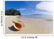 A Triton's Trumpet Shell On Sandy Beach Beside Ocean Wall Mural