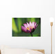 Single Pink Purple Water Lily Flower Wall Mural