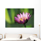 Single Pink Purple Water Lily Flower Wall Mural