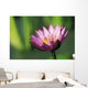 Single Pink Purple Water Lily Flower Wall Mural