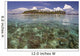 Malaysia, Mabul Island, A Hawksbill Turtle Swims In Island/Reef Scene Wall Mural