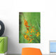 Tritonia Crocosmiflora Flowers, Orange, Growing Wall Mural