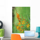 Tritonia Crocosmiflora Flowers, Orange, Growing Wall Mural