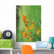 Tritonia Crocosmiflora Flowers, Orange, Growing Wall Mural