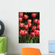 New York, Tulips Wall Mural