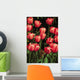 New York, Tulips Wall Mural