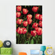 New York, Tulips Wall Mural