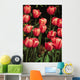 New York, Tulips Wall Mural