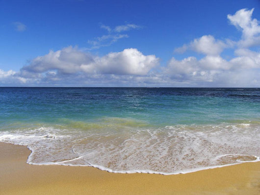 Hawaii, Maui, North Shore, Beautiful Day On Baldwin Beach Wall Mural