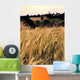 Farmland with Cereal Crops Wall Decal Design 1
