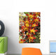 Close-Up Of Red And Yellow Dendrobium Orchids Wall Mural