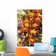 Close-Up Of Red And Yellow Dendrobium Orchids Wall Mural