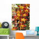 Close-Up Of Red And Yellow Dendrobium Orchids Wall Mural
