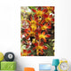 Close-Up Of Red And Yellow Dendrobium Orchids Wall Mural