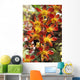 Close-Up Of Red And Yellow Dendrobium Orchids Wall Mural