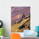 Hawaii, Maui, Haleakala Crater, Haleakala National Park Wall Mural