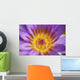 Extreme Close-Up Purple Water Lily Blossom With Yellow Center Detail Wall Mural