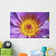 Extreme Close-Up Purple Water Lily Blossom With Yellow Center Detail Wall Mural