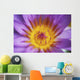 Extreme Close-Up Purple Water Lily Blossom With Yellow Center Detail Wall Mural
