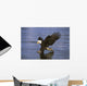 Alaska, Bald Eagle Hunting Herring At Surface Wall Mural