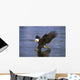 Alaska, Bald Eagle Hunting Herring At Surface Wall Mural