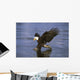 Alaska, Bald Eagle Hunting Herring At Surface Wall Mural