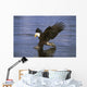 Alaska, Bald Eagle Hunting Herring At Surface Wall Mural