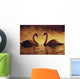 Pair Of African Swans Swimming Toward Each Other, Misty Romantic Wall Mural