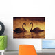 Pair Of African Swans Swimming Toward Each Other, Misty Romantic Wall Mural