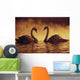 Pair Of African Swans Swimming Toward Each Other, Misty Romantic Wall Mural