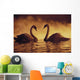 Pair Of African Swans Swimming Toward Each Other, Misty Romantic Wall Mural