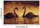 Pair Of African Swans Swimming Toward Each Other, Misty Romantic Wall Mural