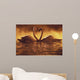 Pair Of African Swans Swimming Toward Each Other, Misty Romantic Wall Mural
