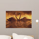 Pair Of African Swans Swimming Toward Each Other, Misty Romantic Wall Mural