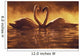 Pair Of African Swans Swimming Toward Each Other, Misty Romantic Wall Mural