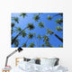 Hawaii, Molokai, Kapuaiwa Coconut Grove, Blue Skies Wall Mural