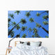 Hawaii, Molokai, Kapuaiwa Coconut Grove, Blue Skies Wall Mural